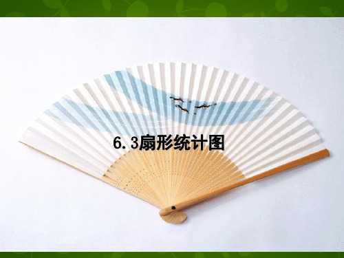 七年级数学下册 6.3 扇形统计图课件 (新版)浙教版
