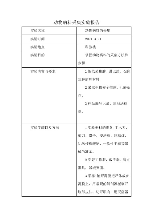 动物病料采集实验报告