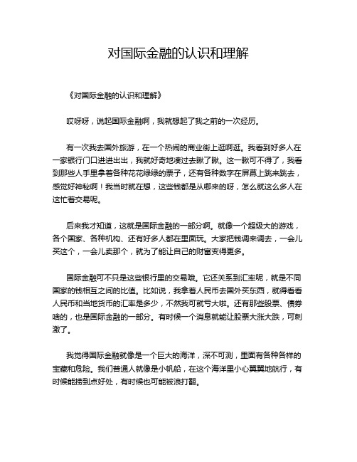 对国际金融的认识和理解