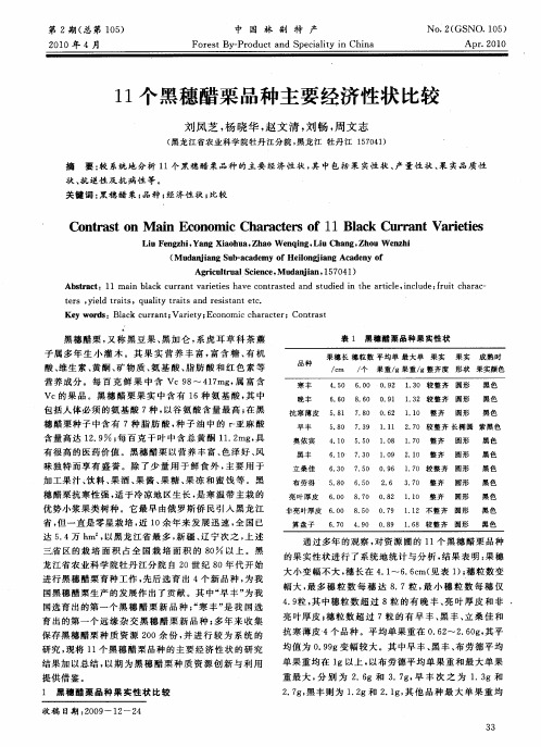 11个黑穗醋栗品种主要经济性状比较