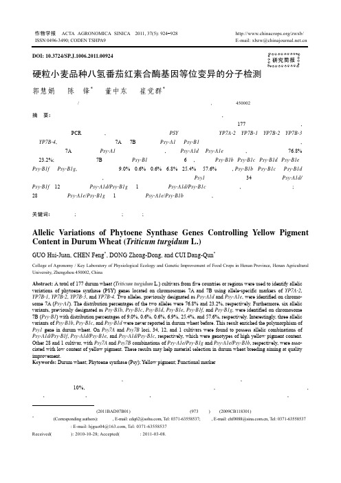 硬粒小麦品种八氢番茄红素合酶基因等位变异的分子检测