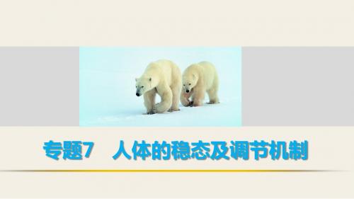 生物二轮复习 考前三个月 专题7 人体的稳态及调节机制 考点23 兴奋的产生传导及相关实验分析课件