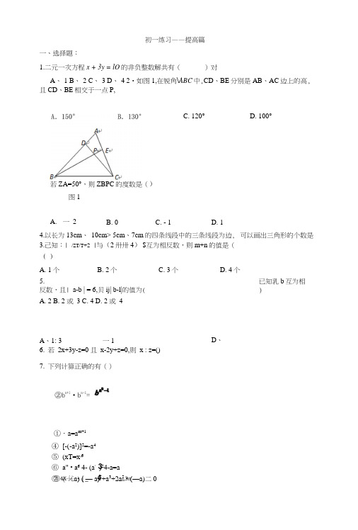 初一数学综合练习题及答案(提高篇).doc