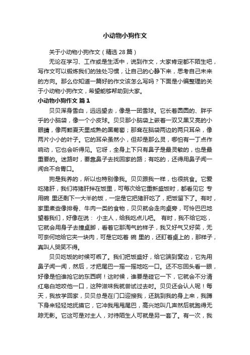 关于小动物小狗作文（精选28篇）