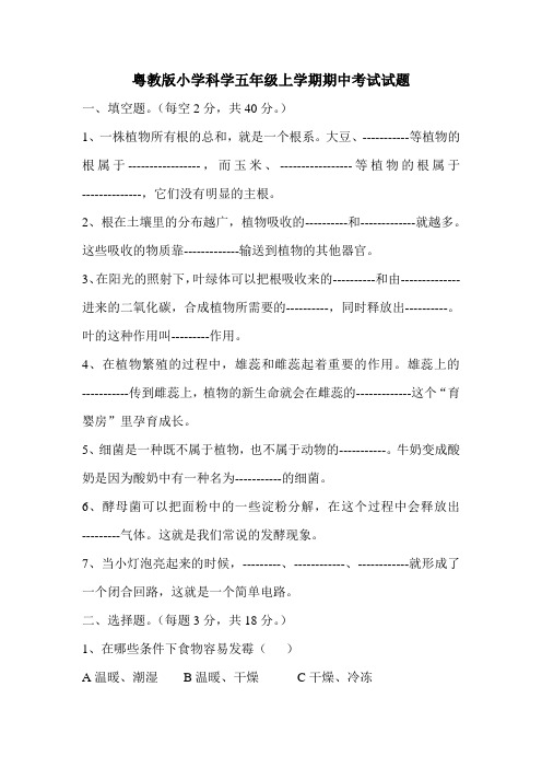 粤教版小学科学五年级上学期期中考试试题