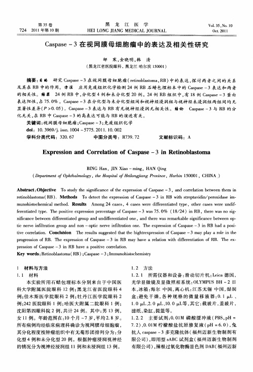 Caspase-3在视网膜母细胞瘤中的表达及相关性研究