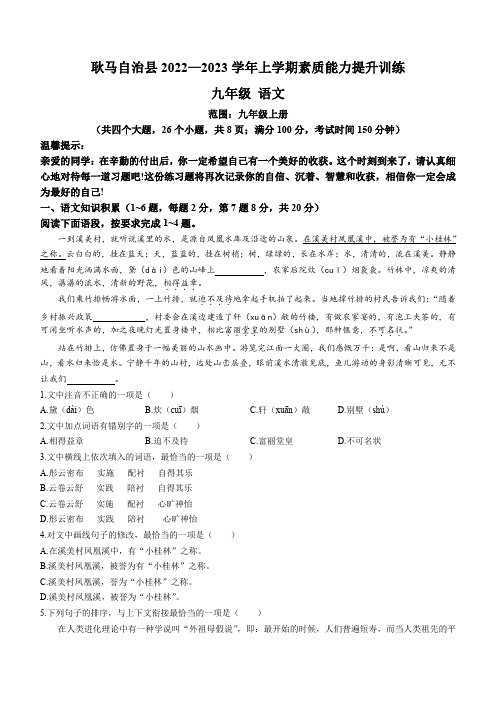 云南省临沧市耿马傣族佤族自治县2022-2023学年九年级上学期期末语文试题