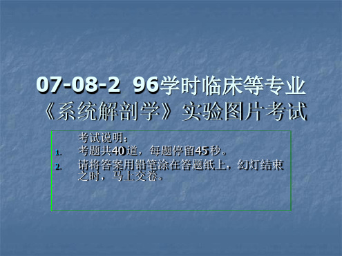 系解实验1 系统解剖学实验图片考试