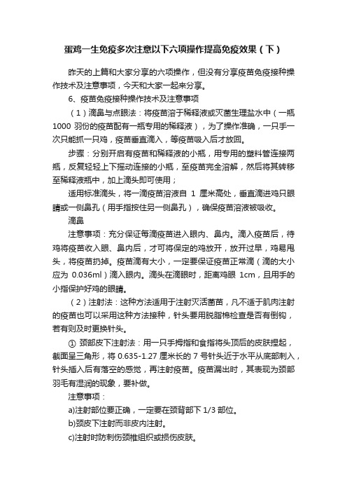 蛋鸡一生免疫多次注意以下六项操作提高免疫效果（下）