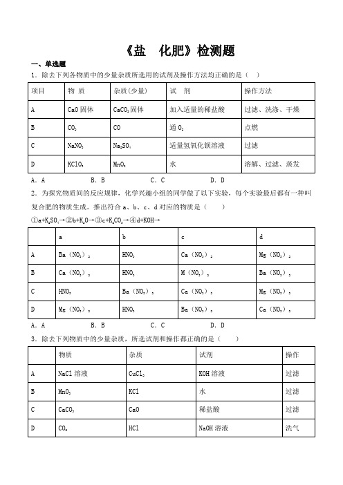 人教版初中化学九年级下册第十一单元《盐  化肥》检测题(含答案)