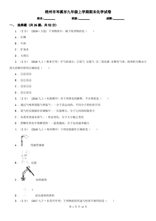 梧州市岑溪市九年级上学期期末化学试卷