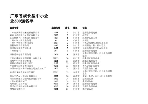 广东省成长型中小企业500强名单