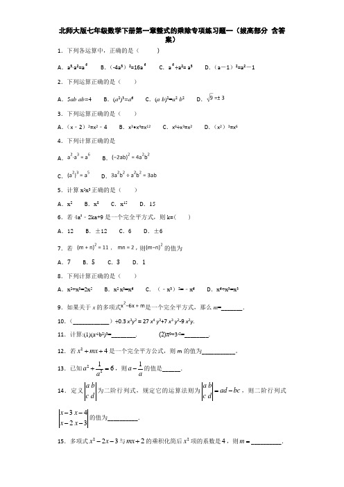 北师大版七年级数学下册第一章整式的乘除专项练习题er (拔高部分 含答案)