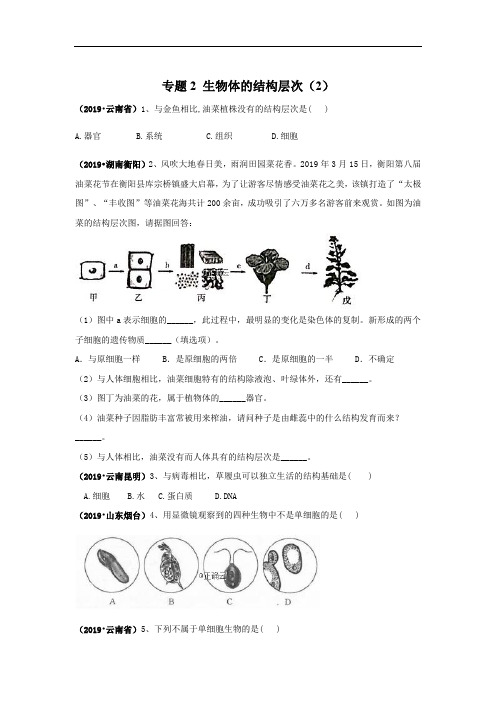 2019年中考生物真题专项汇编：专题2 生物体的结构层次(4)