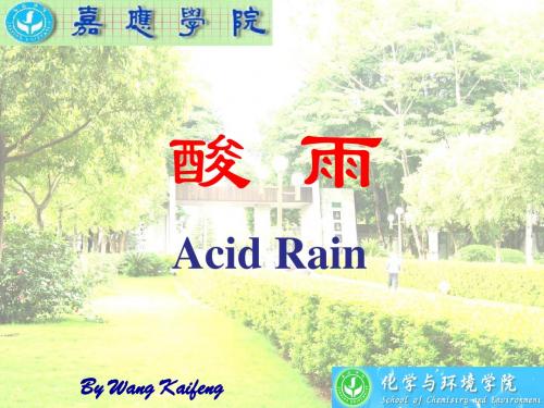 4 酸雨