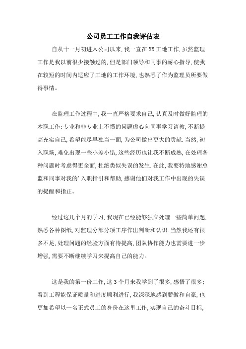 公司员工工作自我评估表