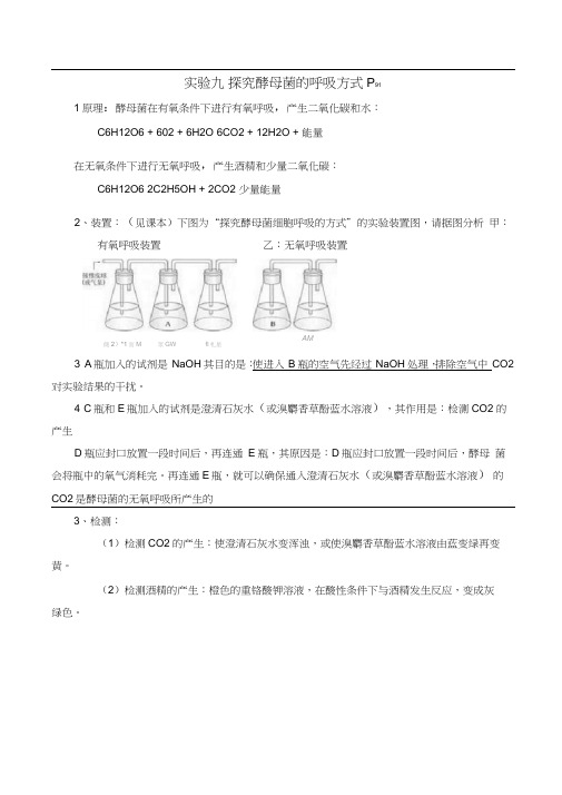 高中生物必修1试验探究酵母菌的呼吸方式