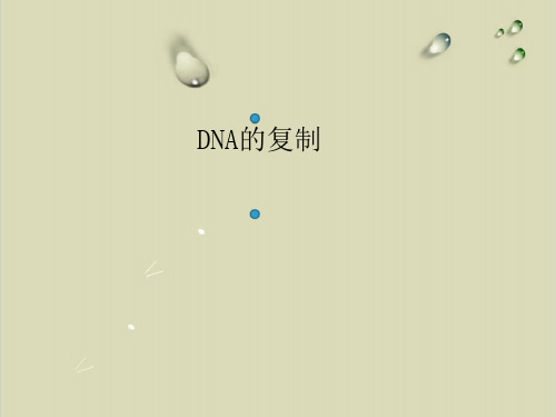 【人教版】DNA的复制ppt优秀课件1【精选】