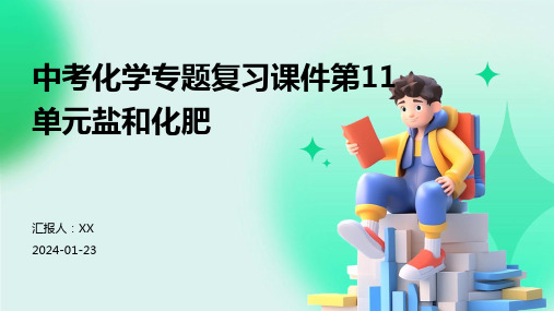 中考化学专题复习课件第11单元盐和化肥