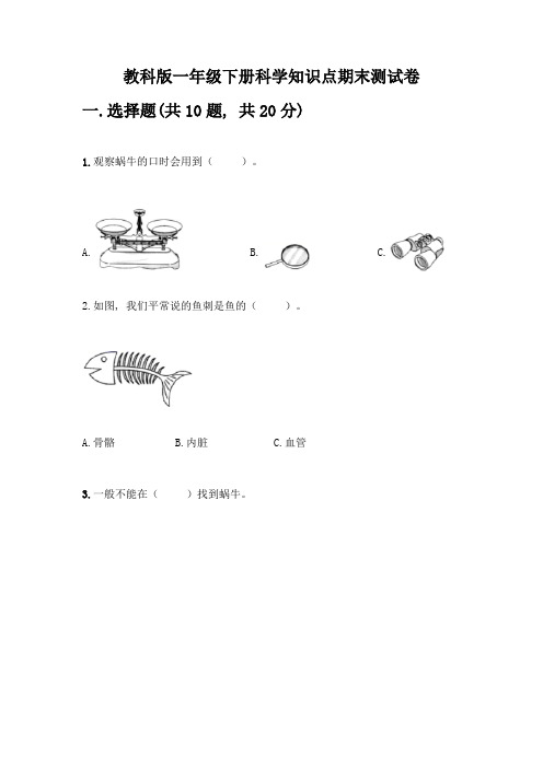 教科版一年级下册科学知识点期末测试卷附参考答案(基础题)