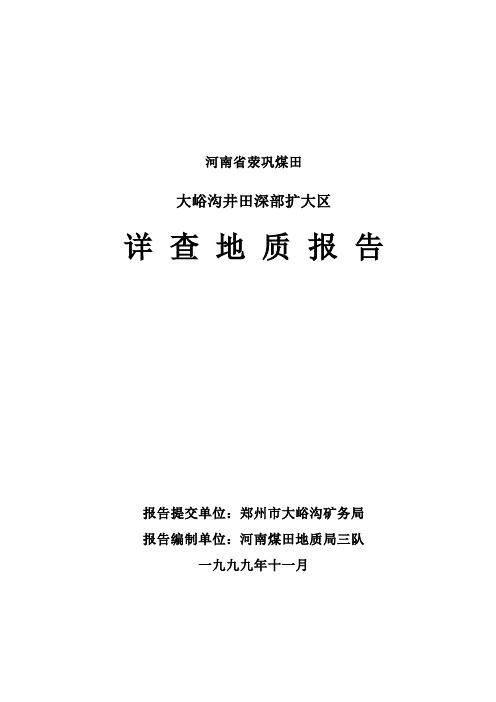 大峪沟井田深部扩大区详查地质报告