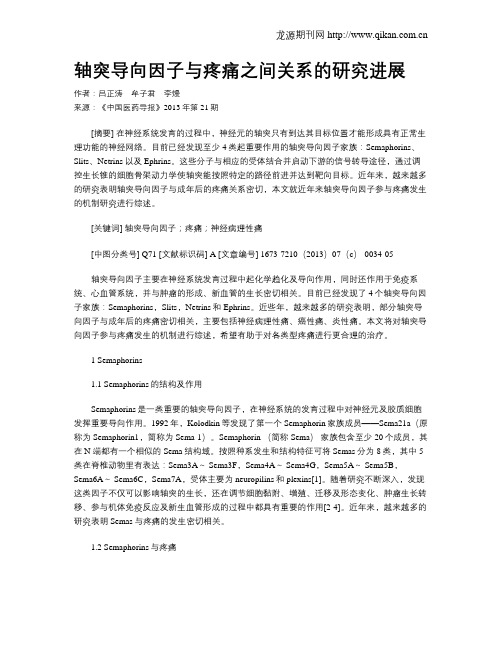 轴突导向因子与疼痛之间关系的研究进展