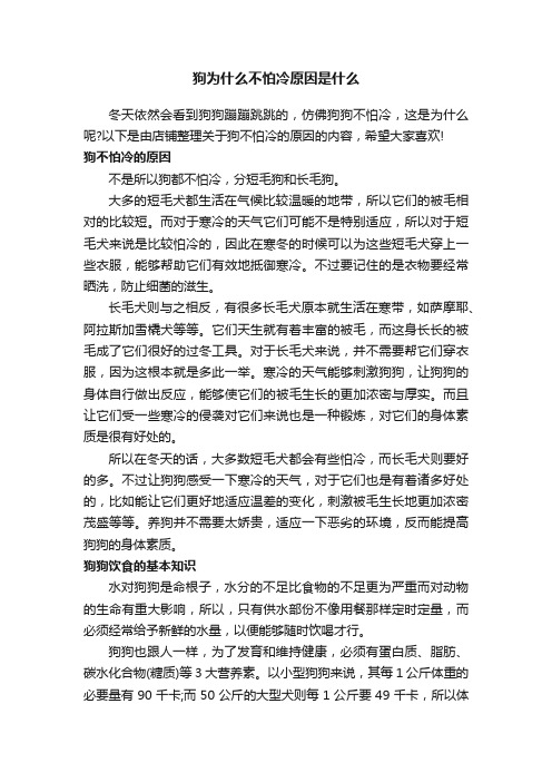 狗为什么不怕冷原因是什么