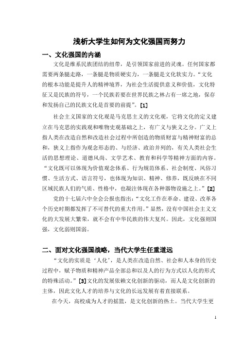 浅析大学生如何为文化强国而努力