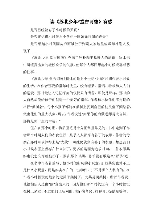 读《苏北少年-堂吉诃德》有感(1000字).docx