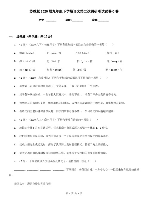 苏教版2020届九年级下学期语文第二次调研考试试卷C卷