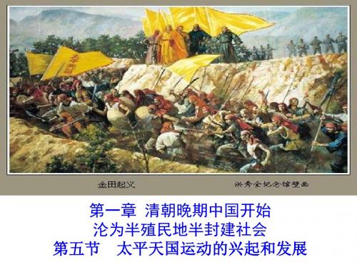 【高中历史】太平天国运动的兴起和发展PPT课件6