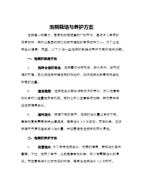 泡桐栽培与养护方案