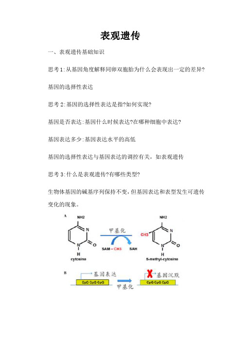 备课素材：表观遗传复习2023-2024学年高一下学期生物人教版必修2