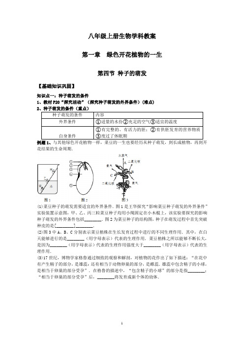 【八上济南版生物】 第四节 种子的萌发