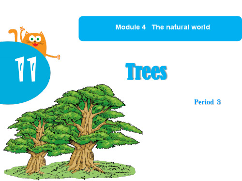 牛津深圳版Module4Unit11TreesPeriod3课件(21张,建议wps播放)