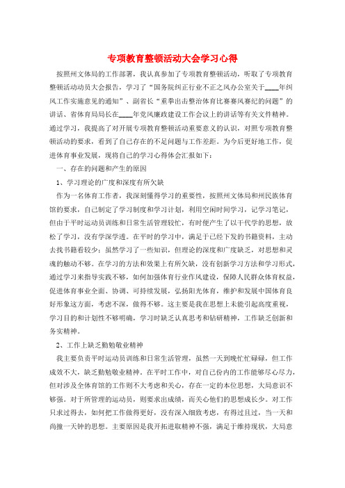 专项教育整顿活动大会学习心得