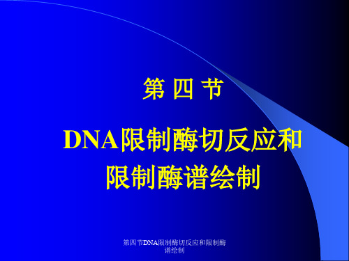 最新第四节DNA限制酶切反应和限制酶谱绘制PPT