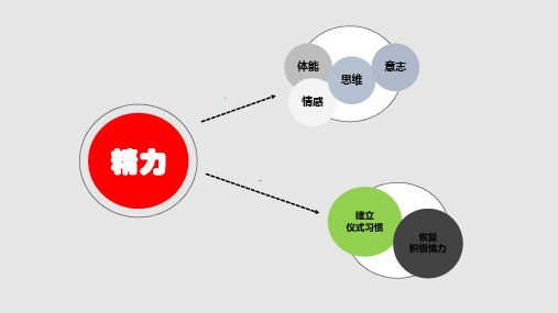 精力管理—PPT课件