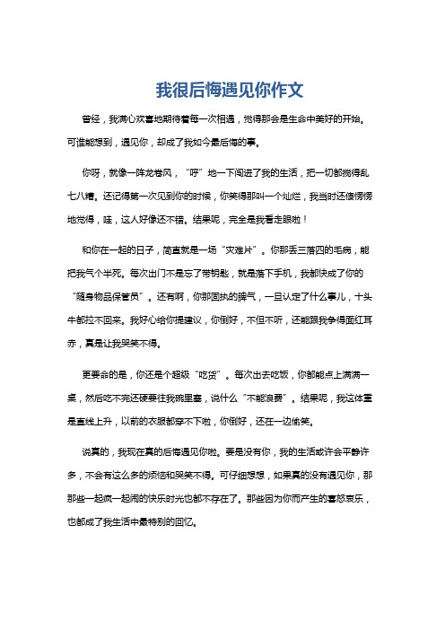 我很后悔遇见你作文