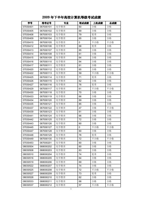 2009年下半年高校计算机等级考试成绩