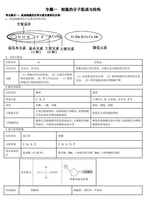 高三生物二轮复习学案专题1细胞的分子组成与结构