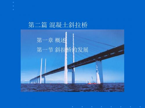 桥梁设计与计算5(共7篇)-精品文档39页