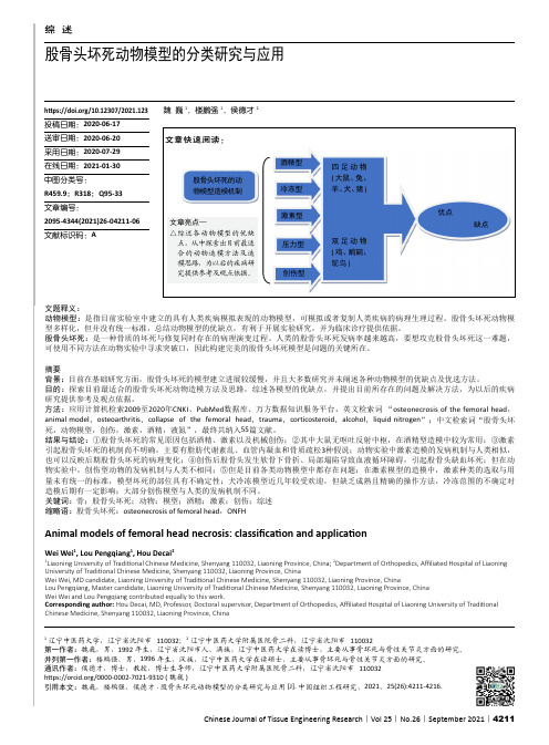 股骨头坏死动物模型的分类研究与应用