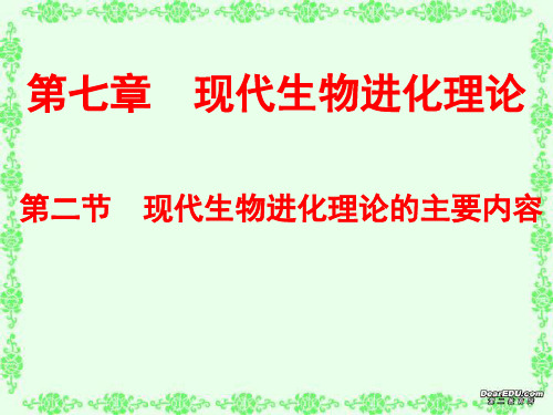 第七章 第二节现代生物进化理论的主要内容