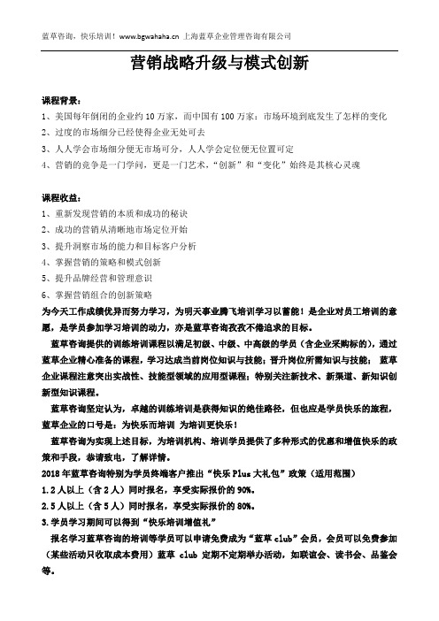 《营销战略升级与模式创新》 (3)