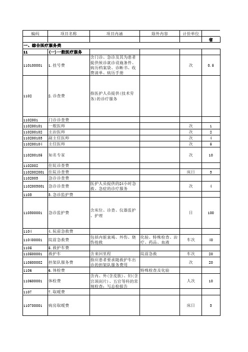 河南省医疗服务价格