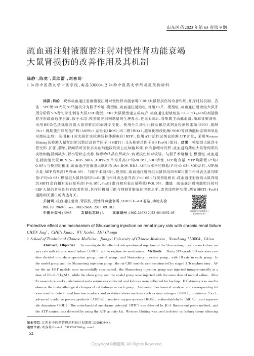 疏血通注射液腹腔注射对慢性肾功能衰竭大鼠肾损伤的改善作用及其机制