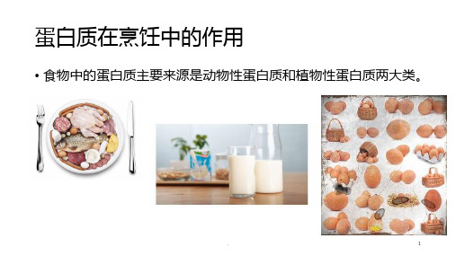 蛋白质在烹饪中的作用PPT课件