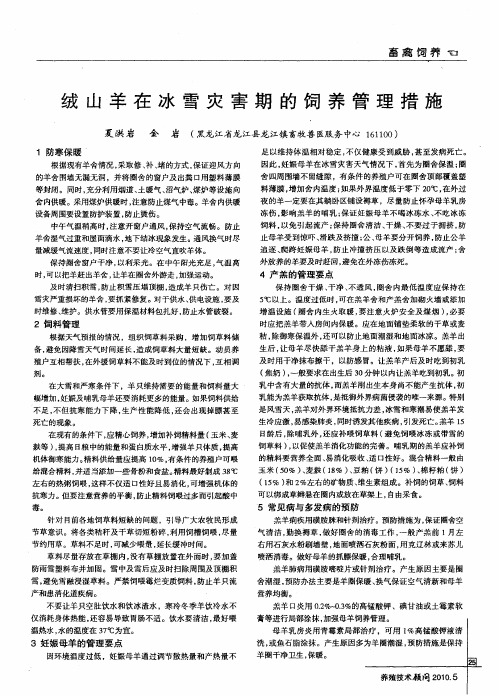 绒山羊在冰雪灾害期的饲养管理措施