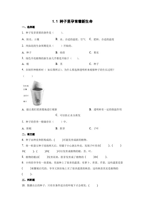 教科版(2017秋)科学四年级下册 1-1 种子里孕育着新生命 同步练习(含答案)